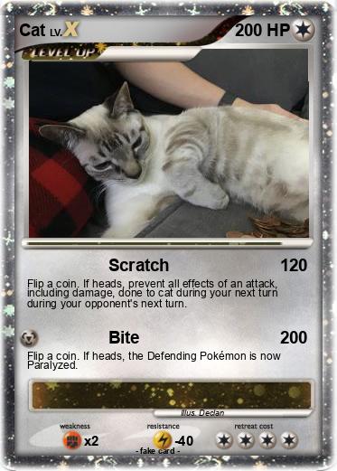 Pokemon Cat
