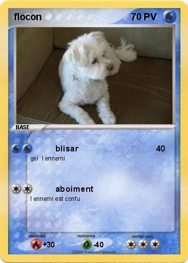 Pokemon flocon