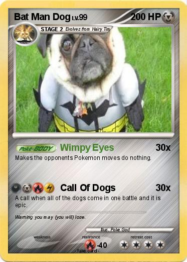 Pokemon Bat Man Dog