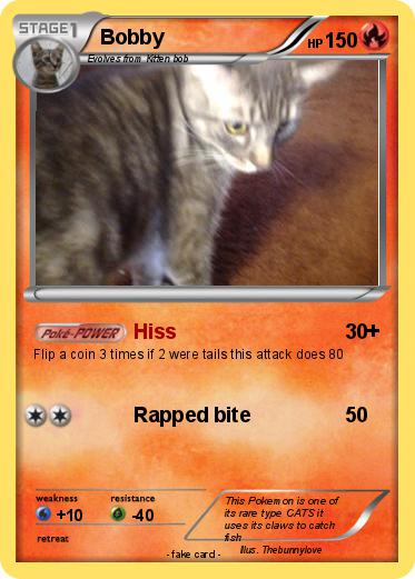Pokemon Bobby