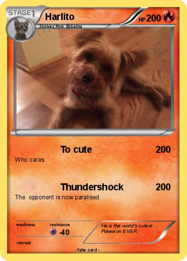 Pokemon Harlito