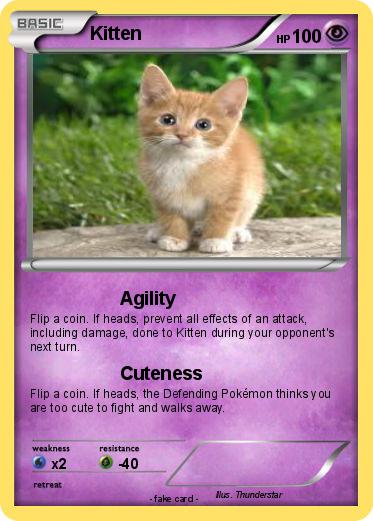 Pokemon Kitten