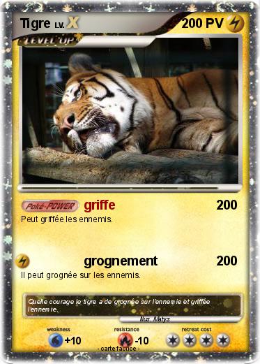 Pokemon Tigre