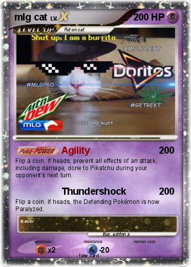 Pokemon mlg cat
