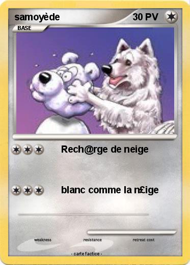 Pokemon samoyède