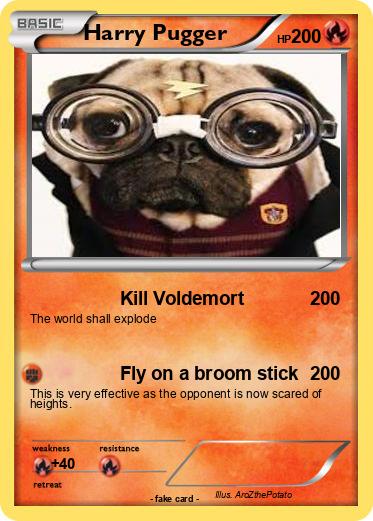Pokemon Harry Pugger