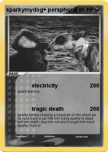 Pokemon sparkymydog+ persphone