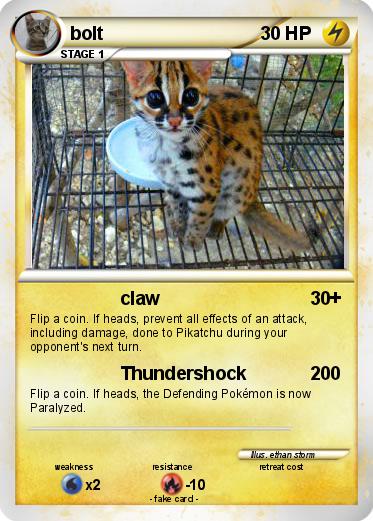 Pokemon bolt