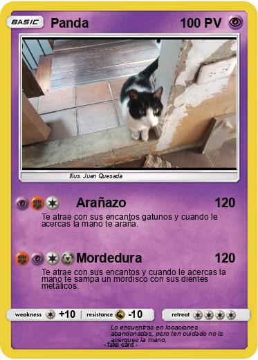 Pokemon Panda
