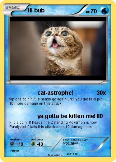 Pokemon lil bub