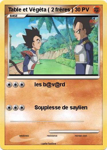 Pokemon Table et Végéta ( 2 frères )
