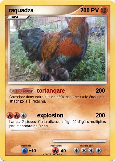 Pokemon raquadza
