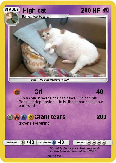 Pokemon High cat