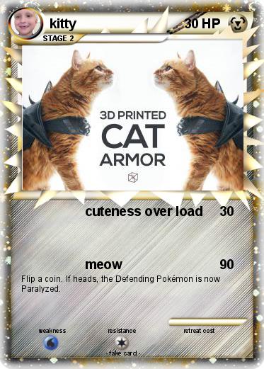 Pokemon kitty