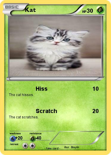 Pokemon Kat