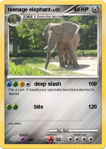 Pokemon teenage elephant