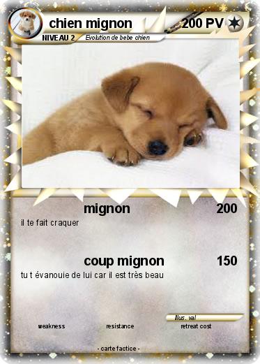 Pokemon chien mignon