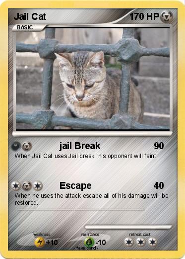 Pokemon Jail Cat