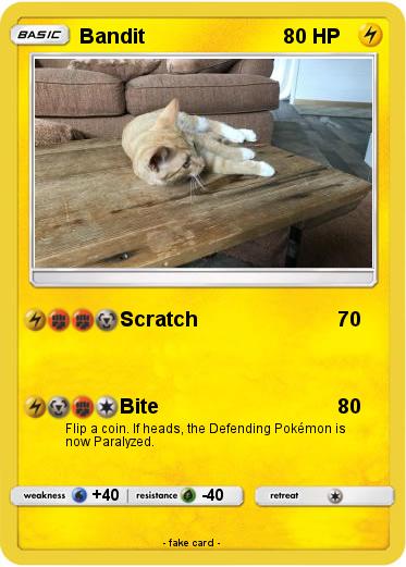Pokemon Bandit