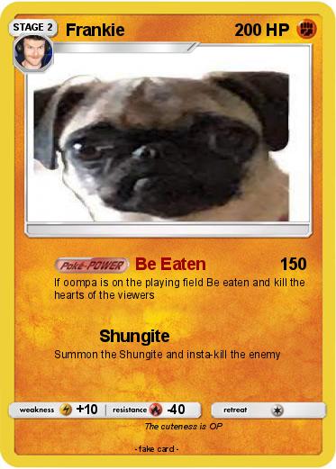 Pokemon Frankie
