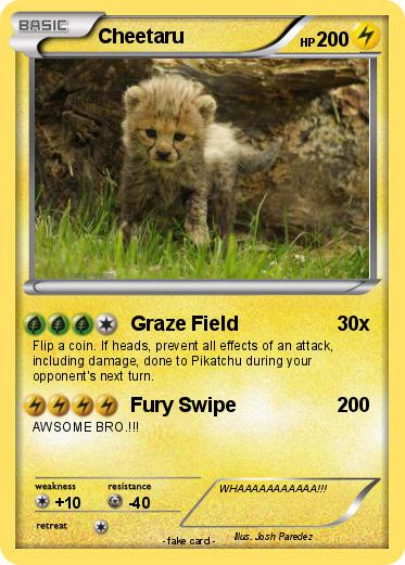Pokemon Cheetaru