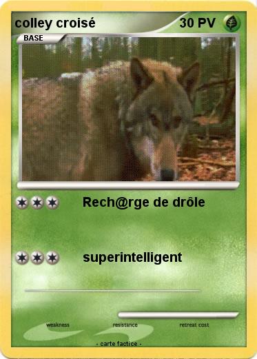 Pokemon colley croisé