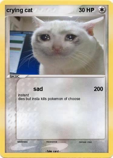 Pokemon crying cat