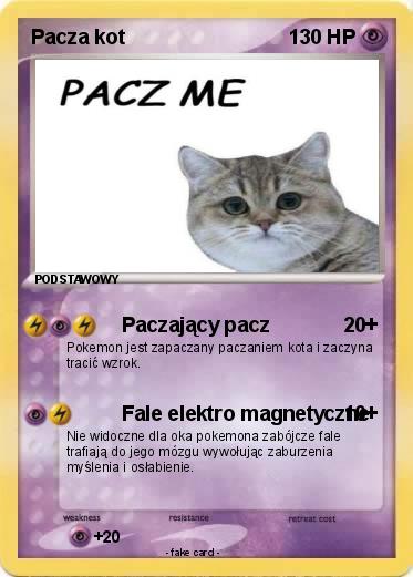 Pokemon Pacza kot