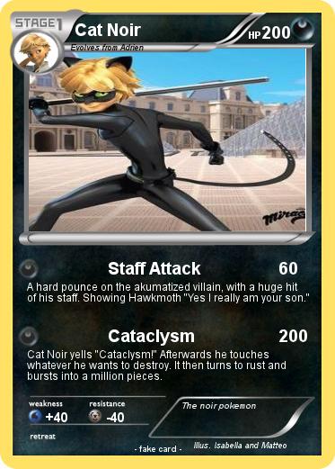 Pokemon Cat Noir
