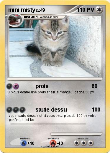 Pokemon mini misty