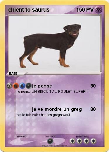 Pokemon chient to saurus