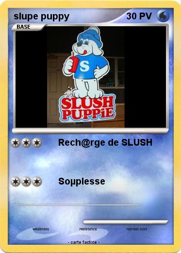Pokemon slupe puppy
