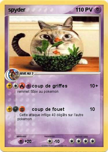 Pokemon spyder