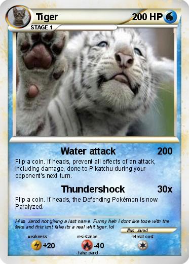 Pokemon Tiger