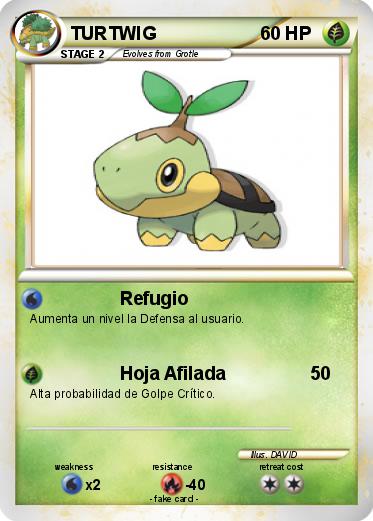 Pokemon TURTWIG