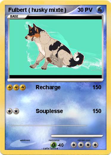 Pokemon Fulbert ( husky mixte )