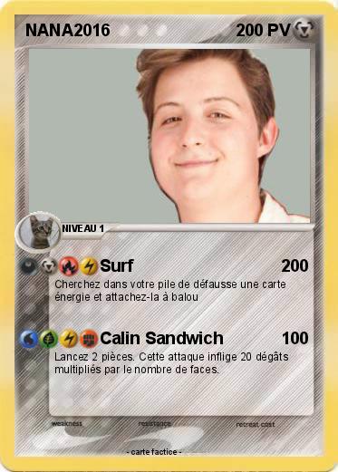 Pokemon NANA2016