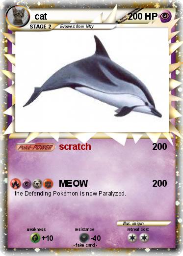Pokemon cat