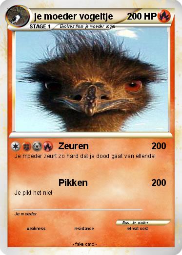 Pokemon je moeder vogeltje