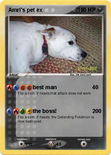 Pokemon Amri's pet ex