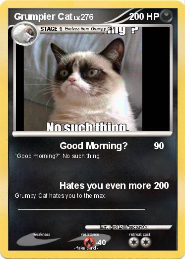 Pokemon Grumpier Cat