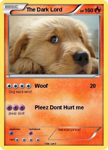 Pokemon The Dark Lord