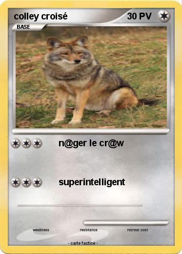 Pokemon colley croisé