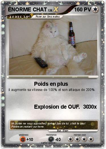 Pokemon ÉNORME CHAT