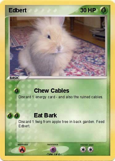 Pokemon Edbert