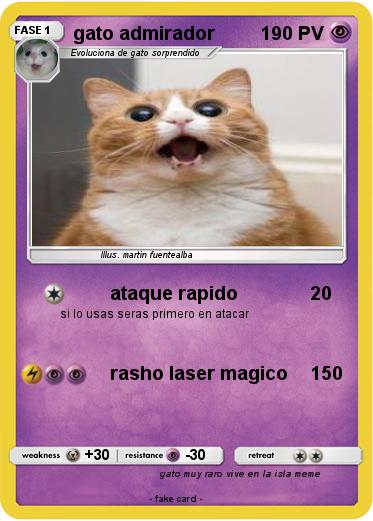 Pokemon gato admirador