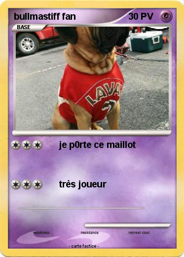 Pokemon bullmastiff fan