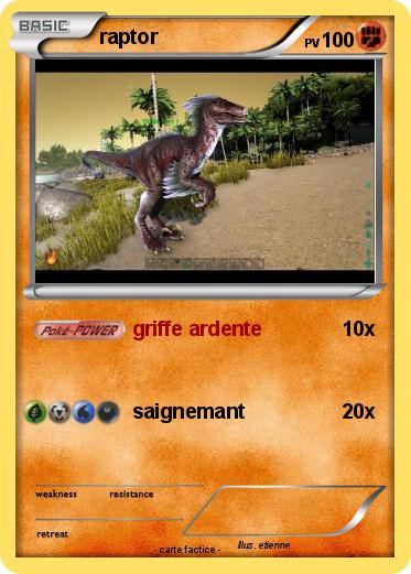 Pokemon raptor