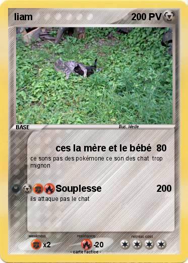 Pokemon liam