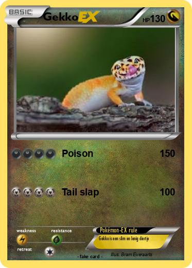 Pokemon Gekko